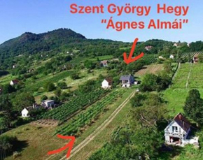 Ágnes almái Ágnes apples
